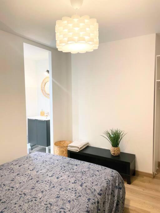 / Cocon \ Paisible Hyper Centre Rodez Apartment Bagian luar foto